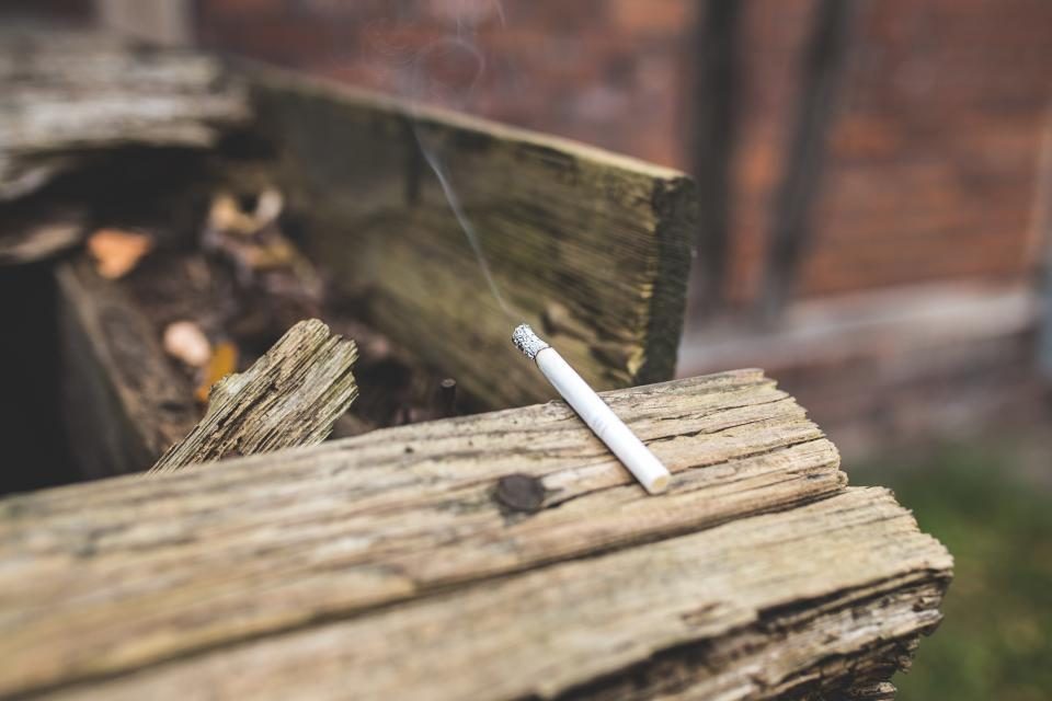 Cigarette abandonnée sur une souche de bois